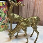Vintage Brass Buck   Doe Deer  Pair  Figurines   Sculpture Set Of Two Decor