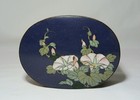 Antique Meiji Period Japanese Cloisonne Box With Unique Green Enamel Lining