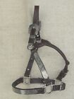 Billy Royal Western Show Halter With Silver  