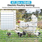Electric Poultry Netting  47 2  H X 164 l Electric Chicken Fence  Portable Ch   
