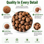 1lb 3 Lb 5 Lb Pound Clay Pebbles  5-30mm Lightweight Clay Leca Balls For Plants