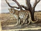 Leopard Cat Print 16x20 Framed And Matted Up To A Large 20x25 Beautiful Picture 
