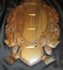 3d Hard Wood European Skull Mounting Plaque  12  X 17 