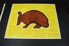 Vintage Jigsaw Puzzle  Armadillo  Complete 1980   500 Pieces Bright Ideas 16x20 