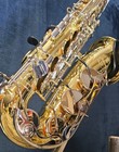 Yamaha Yas-200ad Advantage Alto Saxophone With Mouthpiece  Case