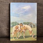Stormy Misty s Foal  Marguerite Henry Wesley Dennis Vintage Book Horse Paperback