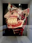 Antique Wax Amazing Intact Old Medical Model Head Interior- A Work Of Art 