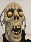 Death Studios Classic    zombie    Latex Mask  American Made And Hand Painted 