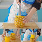 Stainless Steel Fruit Pineapple Corer Slicer Cutter Eye Peeler Kitchen Tools