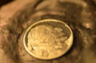 1937 Buffalo Nickel Turtle Hobo Coin Hand Carved Engraved Original Ooak