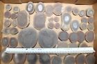 Mazon Creek Fossil Lot Jellyfish Fossils Pennsylvanian Period Lot D