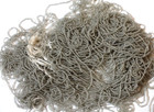 Antique Vintage Micro Seed Beads-16 0 Light Fresh Transparent Grey Gray Hanks