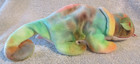 Ty Beanie Baby Rainbow The  Dob October 24   997 Mwmt Free Shipping