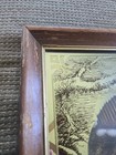 Vtg Miller High Life Beer Walleye Mirror Sign First Edition Bar Decor Wildlife