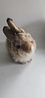 Hansa Rabbit Plush Realistic Bunny 10 Inch Plush 