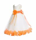 Wedding Pageant Floral Rose Petals Ivory Flower Girl Dress Tulle Princess Kids