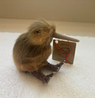 Vintage Handmade New Zealand Kiwi Bird Figurine