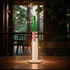 English Willow Cricket Bat Thick Edges Grade 1 Full Size Short Handle Natured