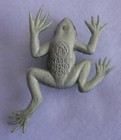 Vintage Rubber Frog Toy Figure Hong Kong Mint New Nos Jiggler
