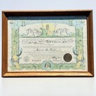 Vintage Uss Detroit Cl-8 Neptvni Regis Navy Shellback Certificate Pearl Harbor