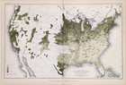 1880 United States - Foreign Population  Map Original    16x10  Gannett