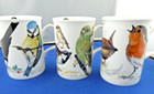 3 Garden Birds Mugs Fine Bone China Made In England Roy Kirkham 10oz New