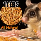 11 Lbs Bulk Dried Mealworms For Wild Birds Food Blue Bird Chickens Hen Treats Us