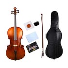 Cello 1 2 Size Classical Design Maple Spruce Wood Musical Instrument For Student
