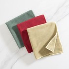 New Limited Edition Envirocloth Trio Norwex