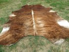 New Large Brindle Brown Cowhide Rug Natural Cowhides Cow Hide Skin 6x6 Feet Rrn