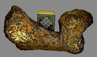 Mundrabilla Iron Meteorite   Beautifully Sculptured Zoomorphic   53 6 Grams