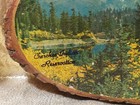 Vintage Wall Rustic Art Plaque Wood Slice Mcm Cherokee Indian Reservation Decor