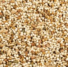Mixed Bird Seed For Parakeet Canary Finch