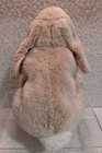 Vintage Animal Alley Toys R Us Beige Tan Bunny Rabbit Weighted Stuffed Plush