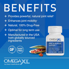 Omega Xl 300 Capsules Green Lipped Mussel Joint   Muscle Relief Supplement  new 