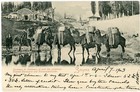 Turkey Ottoman Empire-newspaper Stamp-sc p39 single Frank -smyrne April 7 1903-p
