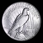 Au   Unc 1935 Peace Silver Dollar Lowest Prices On The Bay  