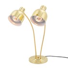 Food Heat Lamp 2-head Electric Food Warmer Light Warming Lamp For Parties Buffet