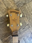 Deering Goodtime 5-string Banjo Open Back