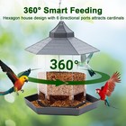Hexagon House Bird Feeder Squirrel Proof Largecapacity Auto-dispense Seed 1l