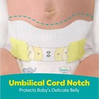  pampers Swaddlers Sensitive Disposable Diapers - Size N - 168 Count 