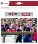 University Of Arkansas Ncaa Razorback Leotard Warm-up Jacket Gymnastics Sec Gk