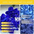 200pcs Real Dried Preserved Royal Blue Rose Petals  Natural Flowers 1 75oz For R