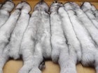 Tanned  1 Top Lot Xxl Blue Fox Hide blue Silver Grey Color furs taxidermy crafts