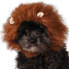 Rubies Pet Shop Dog   Cat Halloween Lions Mane Hat Costume Multicolor Size M l