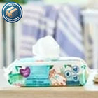 Parent s Choice Fragrance Free Baby Wipes  900 Count