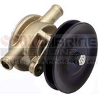 Yanmar 2gmf 3gmf 2ym 3ym Sea Water Pump 128397-42500 128990-42500 10-24509-01