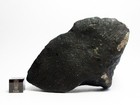 Hassi Messaoud  prov  213 42g Fresh Fall Of 10 8 25 Algeria Meteorite