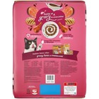 Purina Friskies Gravy Swirlers With Chicken  Salmon   Gravy Adult Dry Cat Food
