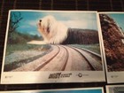 Vintage Lot Of 7 Digby Biggest Dog In The World 1974 11x14 Original Lobby Card
